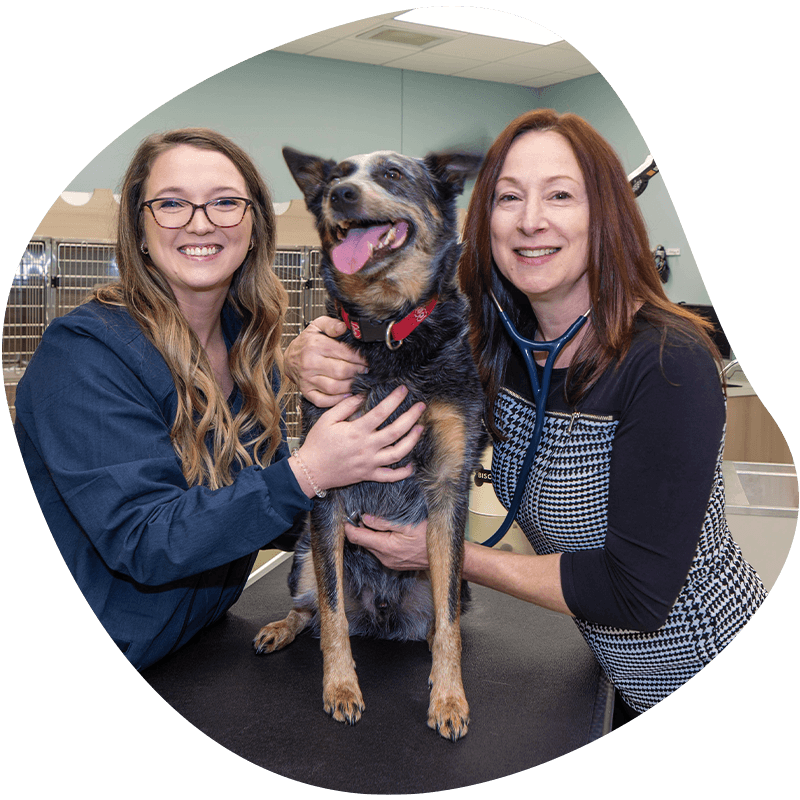 dr dianne saladino and brittani with a dog