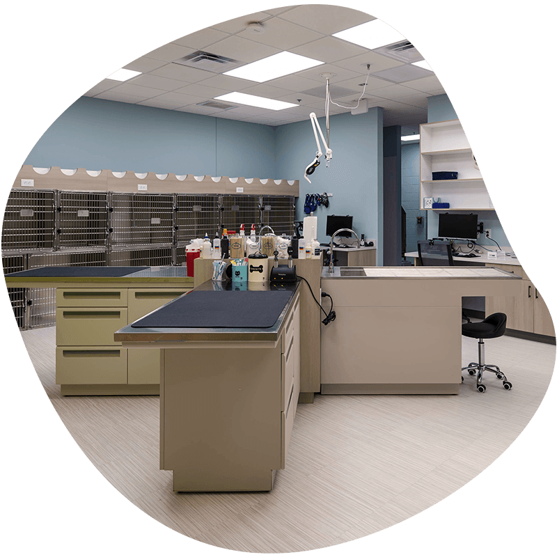 Shepherds Vineyard Animal Hospital facilities