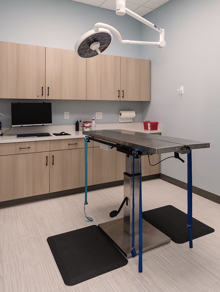 surgery room at Shepherds Vineyard Animal Hospital