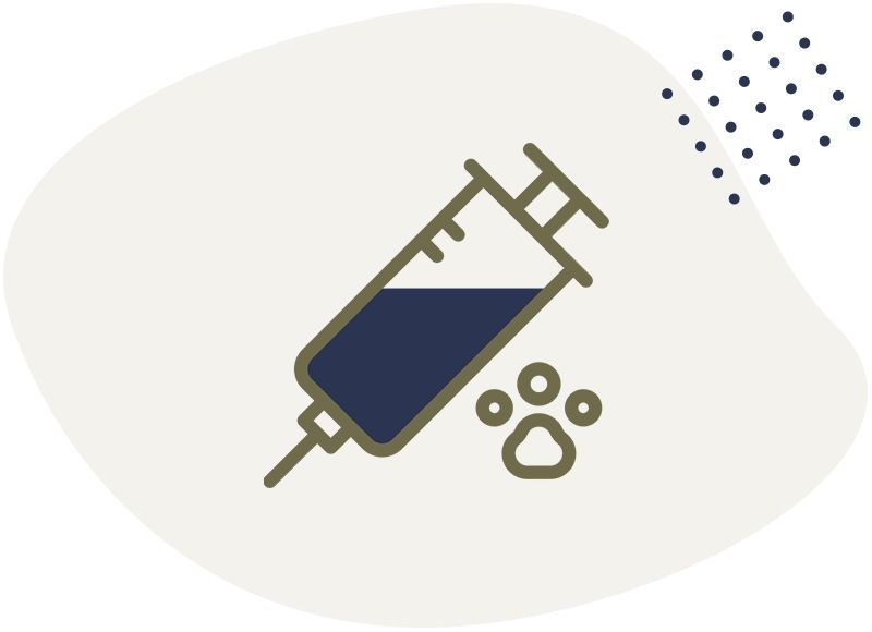 injection pet vaccinations icon